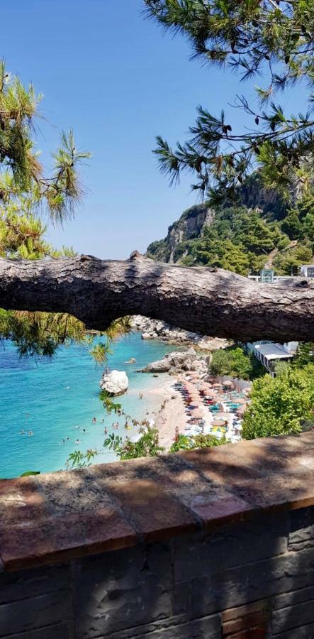 I'm Joy * Vlorë